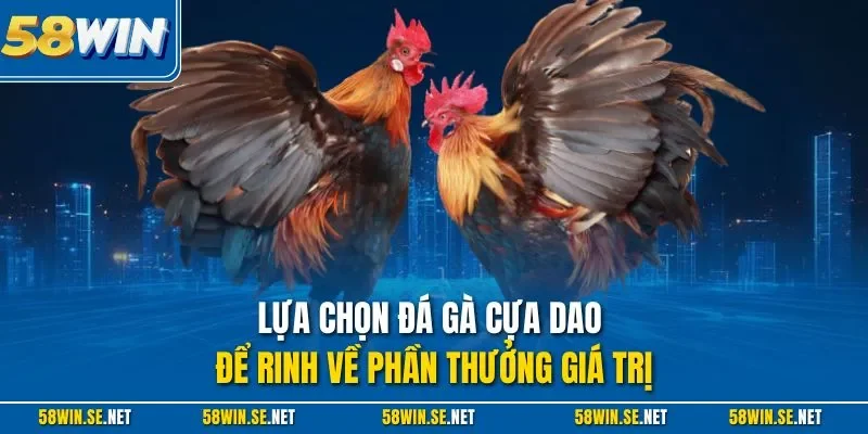 Lựa chọn đá gà cựa dao để rinh về phần thưởng giá trị